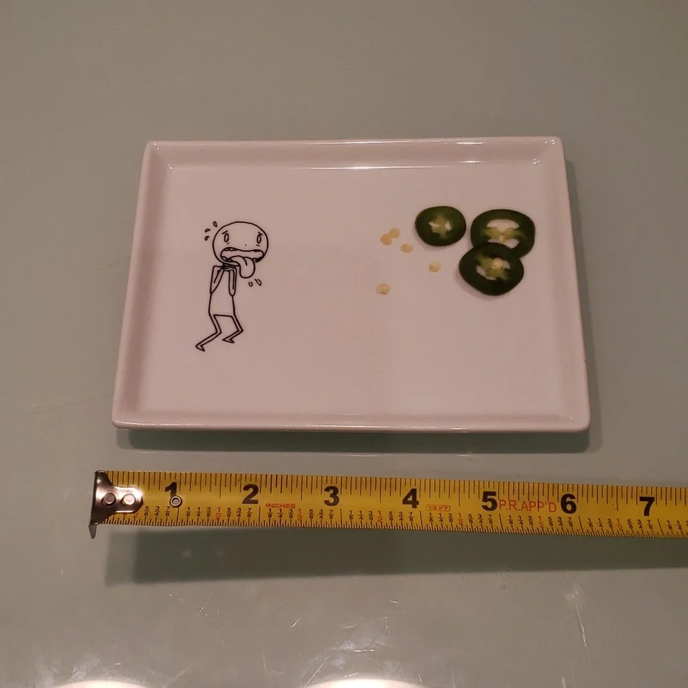 Crate&Barrel Oliver Jalepeno Small Rectangle Plate